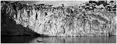 Ice wall. Glacier Bay National Park (Panoramic black and white)