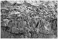 Crevasses and seracs of Reid Glacier. Glacier Bay National Park, Alaska, USA. (black and white)