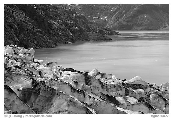 Lamplugh glacier and turquoise bay waters. Glacier Bay National Park, Alaska, USA.