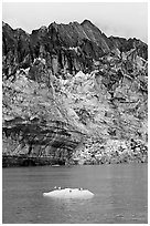 Iceberg, seabirds, and front of Margerie Glacier with black ice. Glacier Bay National Park, Alaska, USA. (black and white)