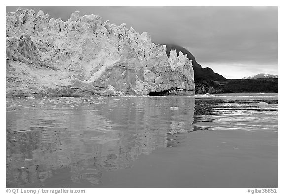 Margerie Glacier reflected in Tarr Inlet. Glacier Bay National Park, Alaska, USA.