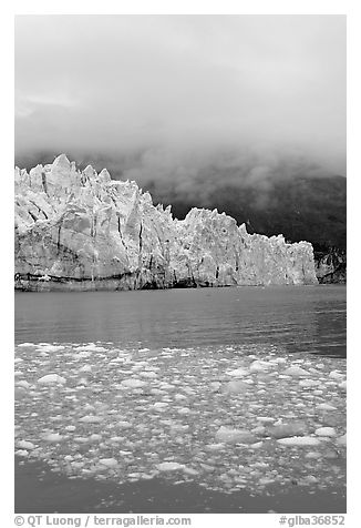 Icebergs, Margerie Glacier, and fog. Glacier Bay National Park (black and white)