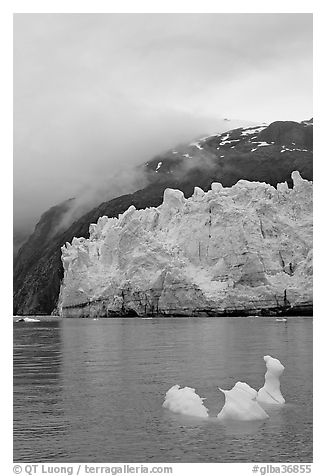 Icerberg at the base of Margerie Glacier. Glacier Bay National Park (black and white)