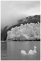Icerberg at the base of Margerie Glacier. Glacier Bay National Park, Alaska, USA. (black and white)