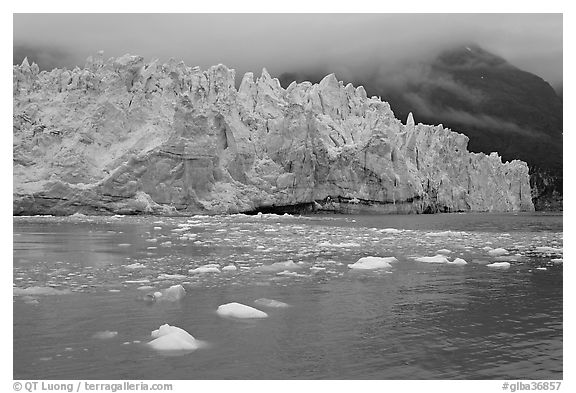 Icebergs and blue ice face of Margerie Glacier. Glacier Bay National Park, Alaska, USA.