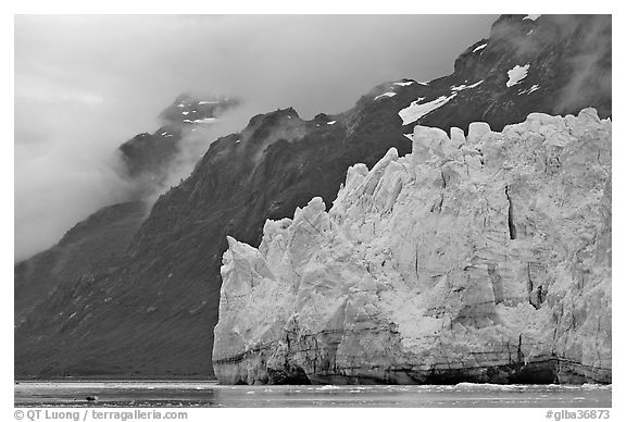 Terminal front of Margerie Glacier with blue ice. Glacier Bay National Park, Alaska, USA.