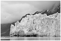 Terminus face of Margerie Glacier. Glacier Bay National Park, Alaska, USA. (black and white)