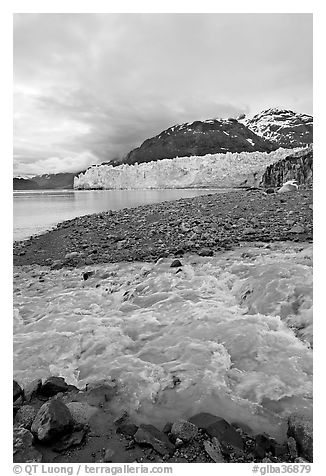 Stream flowing into Tarr Inlet, with Margerie Glacier in background. Glacier Bay National Park, Alaska, USA.