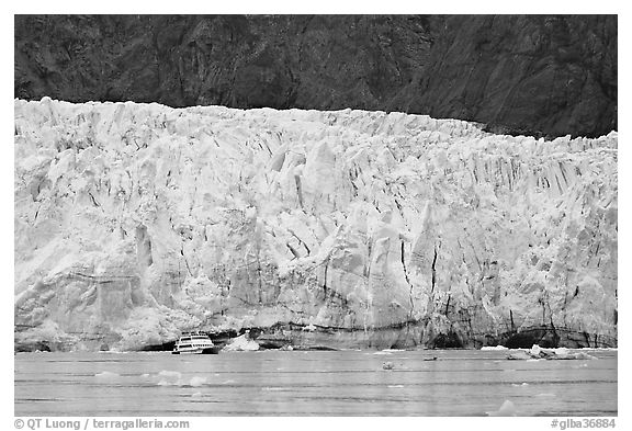 Small tour boat dwarfed by Margerie Glacier. Glacier Bay National Park (black and white)