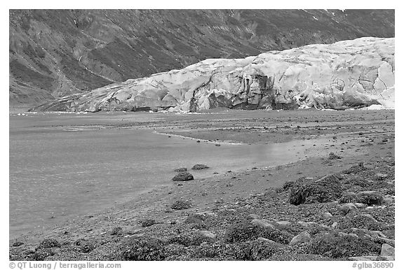 Beach and Reid Glacier. Glacier Bay National Park, Alaska, USA.