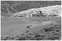 Beach and Reid Glacier. Glacier Bay National Park, Alaska, USA. (black and white)