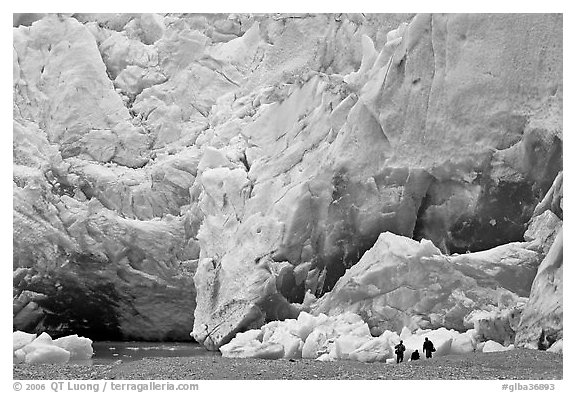 People at the base of Reid Glacier. Glacier Bay National Park, Alaska, USA.