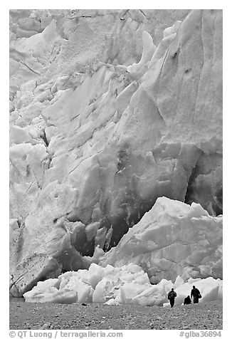 People at the base of the Reid Glacier terminus. Glacier Bay National Park (black and white)