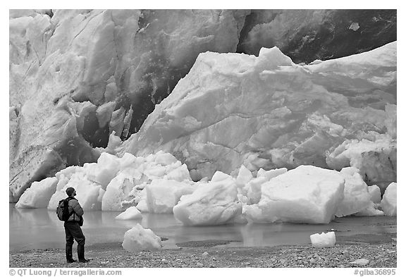 Hiker looking at ice wall at the front of Reid Glacier. Glacier Bay National Park, Alaska, USA.