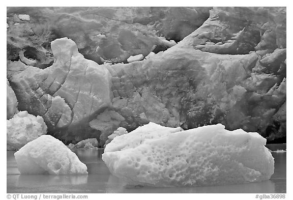 Icebergs and blue ice at the base of Reid Glacier. Glacier Bay National Park (black and white)