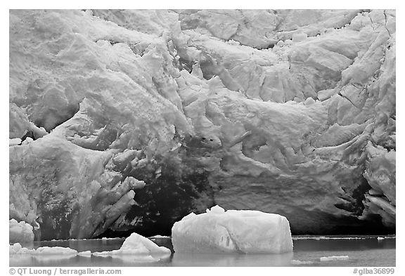 Iceberg and blue ice cave at the base of Reid Glacier. Glacier Bay National Park, Alaska, USA.