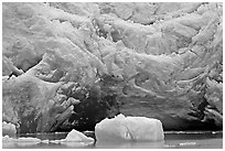 Iceberg and blue ice cave at the base of Reid Glacier. Glacier Bay National Park, Alaska, USA. (black and white)