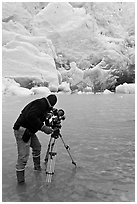 Cameraman standing in water with camera and tripod filming Reid Glacier. Glacier Bay National Park, Alaska, USA. (black and white)