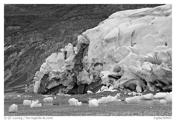 Stranded icebergs on beach and Reid Glacier terminus. Glacier Bay National Park, Alaska, USA.