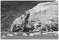 Stranded icebergs on beach and Reid Glacier terminus. Glacier Bay National Park, Alaska, USA. (black and white)