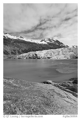 Reid Inlet and Reid Glacier terminus. Glacier Bay National Park, Alaska, USA.