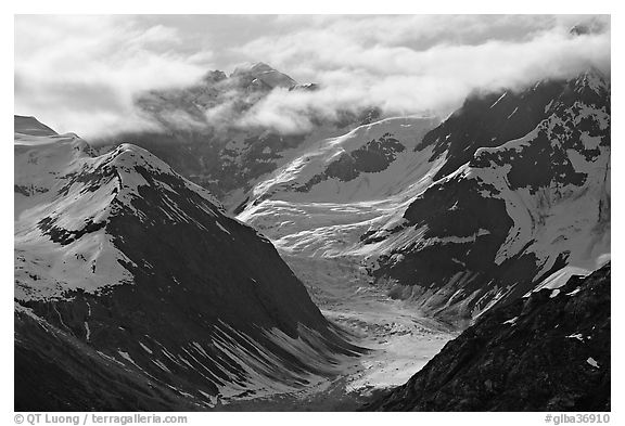 Topeka Glacier, late afternoon. Glacier Bay National Park (black and white)