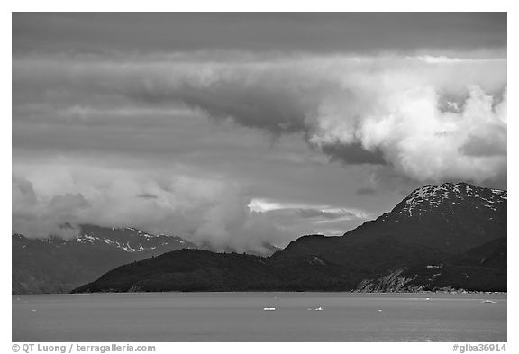 Storm clouds over the bay, West Arm. Glacier Bay National Park (black and white)