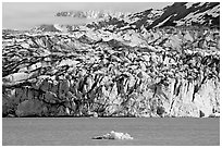 Iceberg and ice face of Lamplugh glacier. Glacier Bay National Park, Alaska, USA. (black and white)