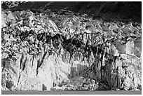 Tidewater ice front of Lamplugh glacier. Glacier Bay National Park, Alaska, USA. (black and white)