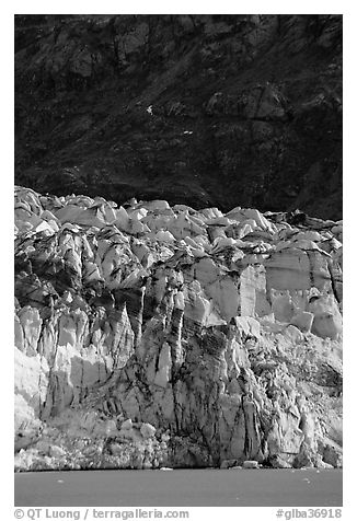 Front of Lamplugh glacier. Glacier Bay National Park (black and white)