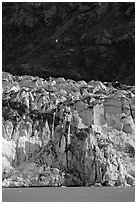 Front of Lamplugh glacier. Glacier Bay National Park ( black and white)