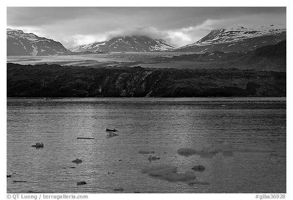 Icebergs and Grand Pacific Glacier under low clouds. Glacier Bay National Park (black and white)