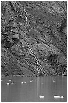 Waterfall, Tarr Inlet. Glacier Bay National Park, Alaska, USA. (black and white)