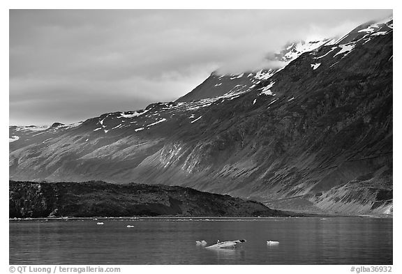 Slopes at the base of Mount Barnard illuminated by a late ray of sun. Glacier Bay National Park (black and white)