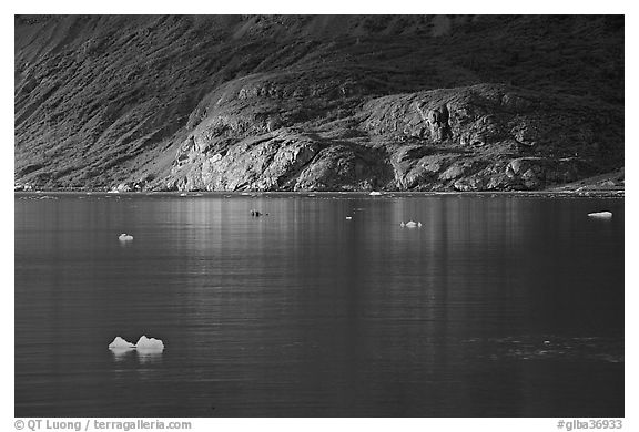 Icebergs and spot of sunlight on slopes around Tarr Inlet. Glacier Bay National Park, Alaska, USA.