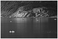 Icebergs and spot of sunlight on slopes around Tarr Inlet. Glacier Bay National Park, Alaska, USA. (black and white)