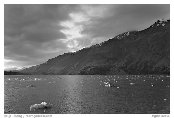 Icebergs in Tarr Inlet, sunset. Glacier Bay National Park, Alaska, USA.