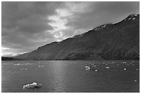 Icebergs in Tarr Inlet, sunset. Glacier Bay National Park, Alaska, USA. (black and white)