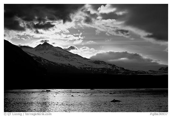 Mount Eliza and Tarr Inlet under clouds at sunset. Glacier Bay National Park (black and white)