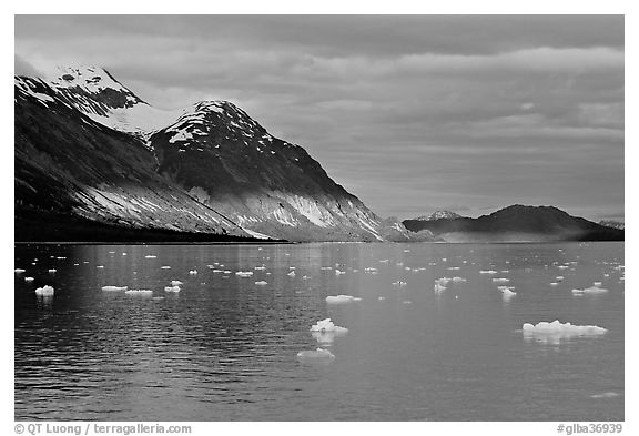 Tarr Inlet and icebergs with the last light of sunset. Glacier Bay National Park, Alaska, USA.
