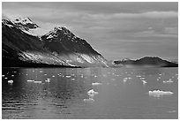 Pictures of Glacier Bay