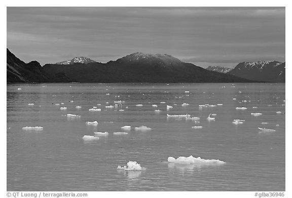 Icebergs and last light on mountain, Tarr Inlet, sunset. Glacier Bay National Park (black and white)