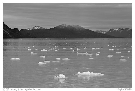 Icebergs and last light on mountain, Tarr Inlet, sunset. Glacier Bay National Park, Alaska, USA.