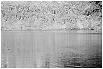 Golden reflections and blue ice of Margerie Glacier. Glacier Bay National Park, Alaska, USA. (black and white)