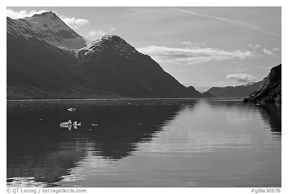 View looking out Tarr Inlet in the morning. Glacier Bay National Park, Alaska, USA.