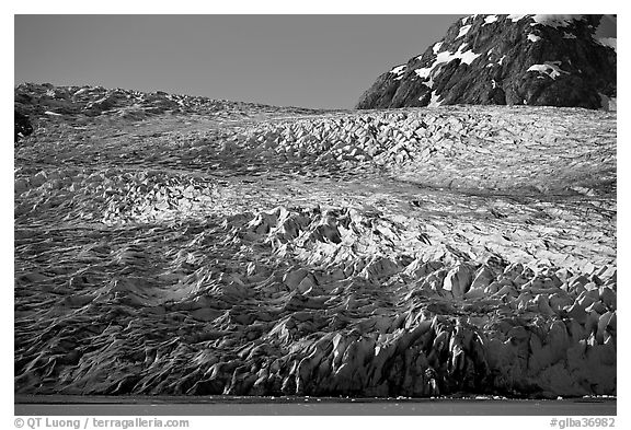Reid Glacier. Glacier Bay National Park (black and white)