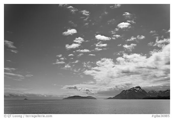 Drake Island and Francis Island. Glacier Bay National Park (black and white)