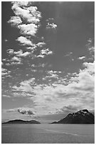 Drake and Francis Islands. Glacier Bay National Park, Alaska, USA. (black and white)