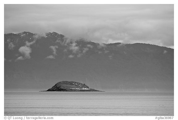 Green Island in blue seascape. Glacier Bay National Park, Alaska, USA.