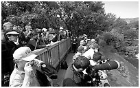 Photographers at the Brooks falls obervation platform. Katmai National Park, Alaska, USA. (black and white)